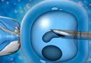 Clínicas de fertilização in vitro da Irlanda